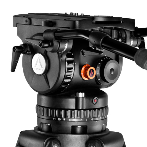 E-Image GH40 PLUS-MT & FILM L Mitchell